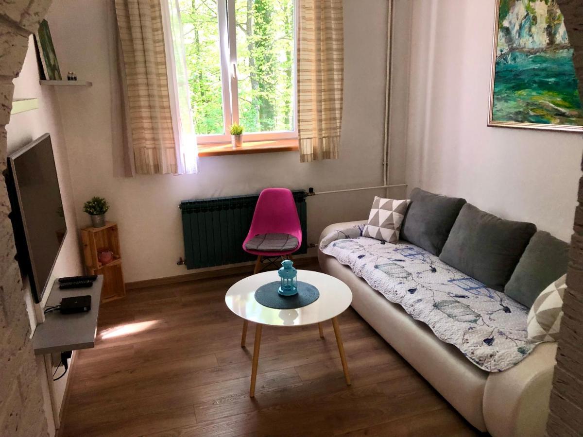 Crystal Lakes Apartment Plitvička Jezera エクステリア 写真